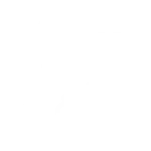 home-page-icon-4icons-04